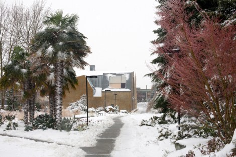 The Seattle University campus under a blanket of snow. Image by Chris Joseph Taylor.