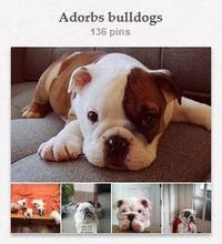 Drake's Pinterest board