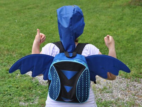 Backpack wings