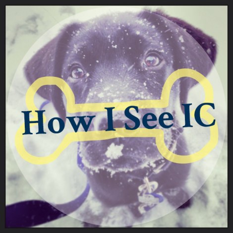 Ithaca College Takeover