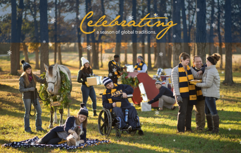 Screen Shot 2016-01-18 at 9.15.13 PM