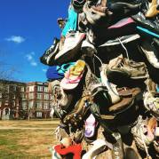 12439148_10153826448716000_3408586862608345711_n