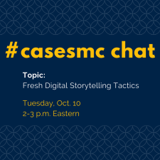 #casesmc chat (26)