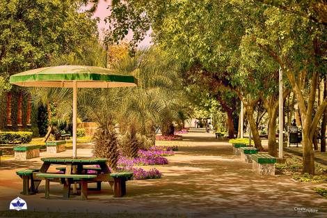 35415708_1834407773246033_5291321518792376320_o